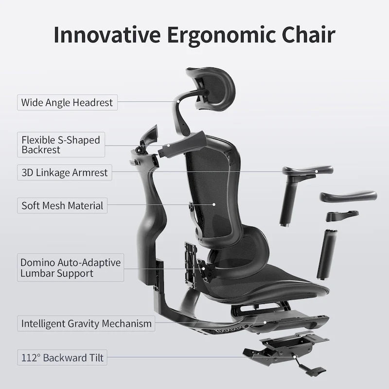 Ergonomic Office Chair with Auto-Adaptive Lumbar & 3D Armrests – Black