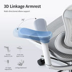 Fauteuil de bureau ergonomique avec support lombaire auto-adaptatif et accoudoirs 3D – Noir