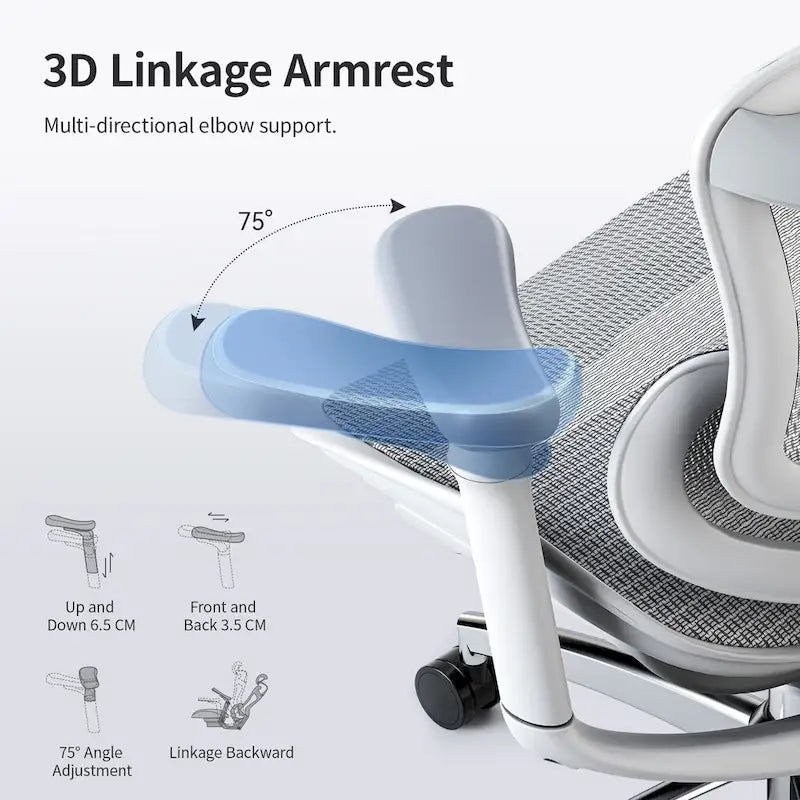 Fauteuil de bureau ergonomique avec support lombaire auto-adaptatif et accoudoirs 3D – Noir
